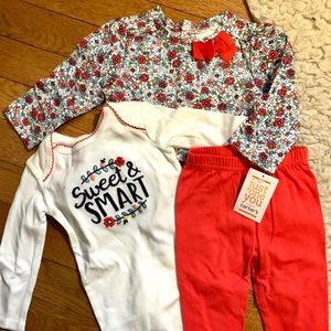 NWT 6m Baby Girl Set